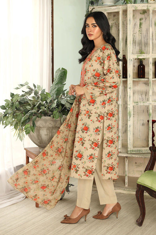 3 Piece Beige Embroidered Suit (DU0428)