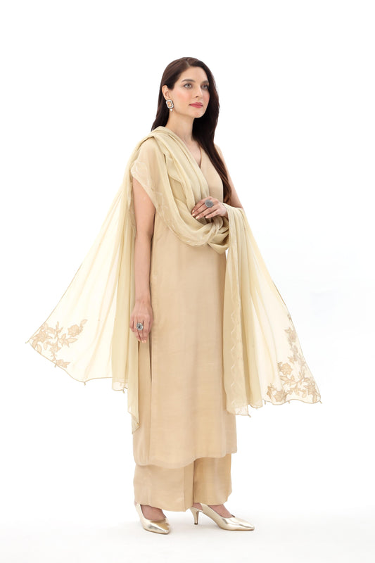 1 Piece Chiffon Embroidered Dupatta (AA5443)