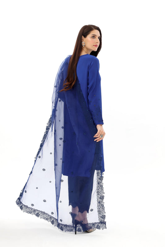 2 Piece Raw Silk Embroidered Suit (AS0472)