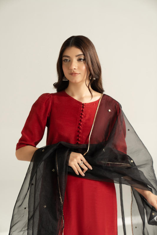 1 Piece Synthetic Organza Embroidered Stole (CO0037)