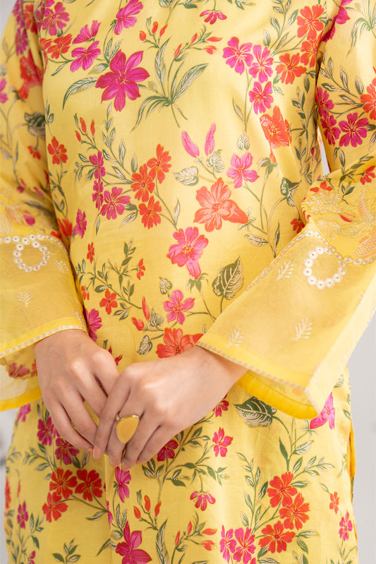 2 Piece Printed Lawn Printed Suit (CP0374)