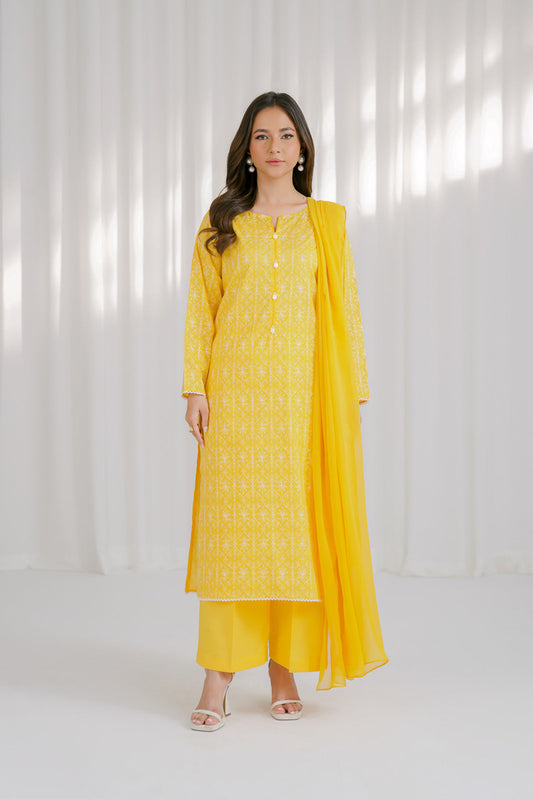 3 Piece Lawn Embroidered Suit (CS0116)