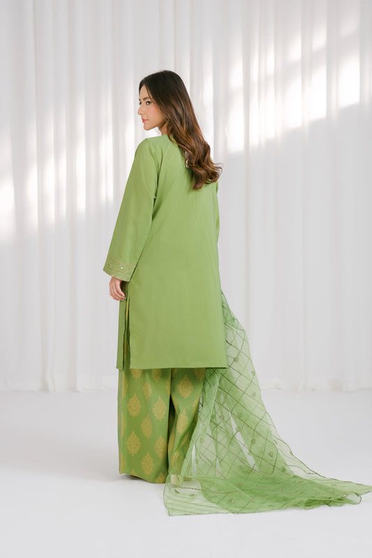3 Piece Printed Cotton Silk Embroidered Suit (CS0125)