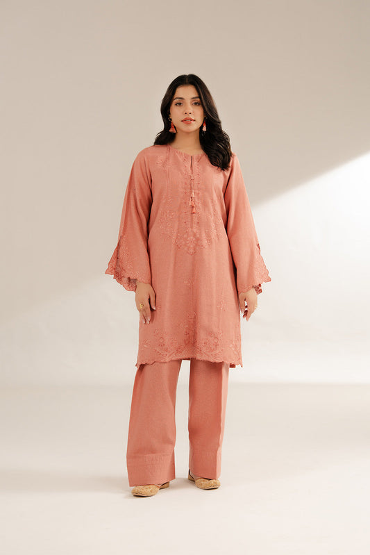 2 Piece Cotton Karandi Embroidered Suit (CS0286)