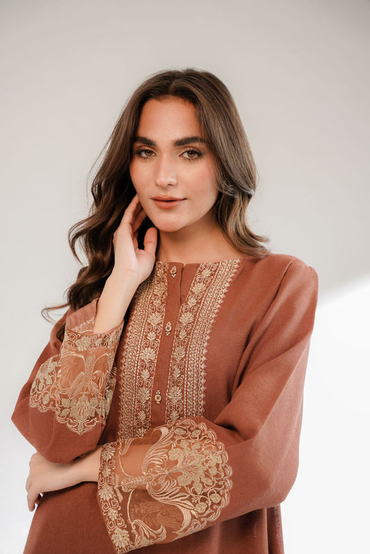 2 Piece Cotton Karandi Embroidered Suit (CS0321)