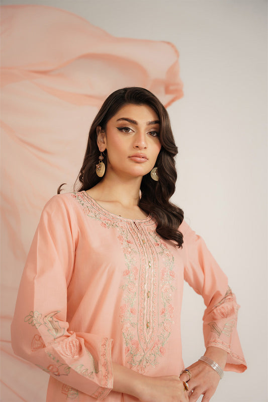 3 Piece Lawn Embroidered Suit (CS0441)