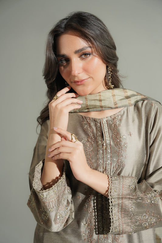 3 Piece Cotton Silk Embroidered Suit (FS0173)