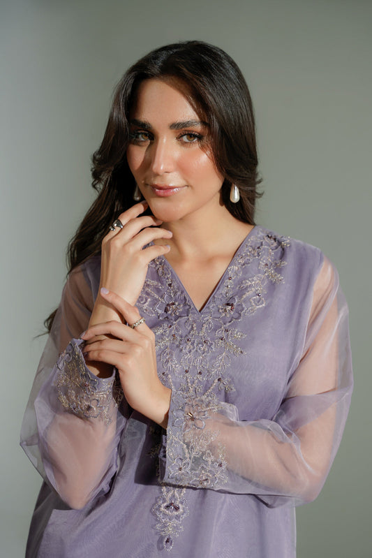 2 Piece Organza Embroidered Suit (FL0186)