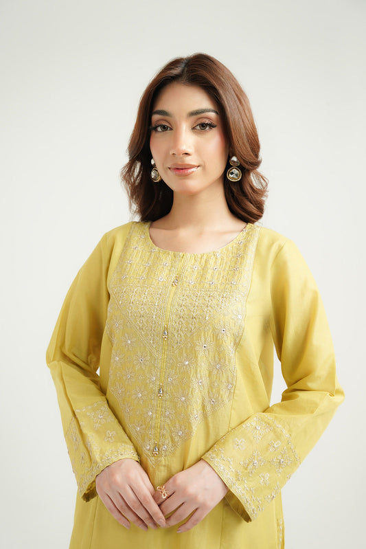 2 Piece Lawn Embroidered Suit (CS0517)