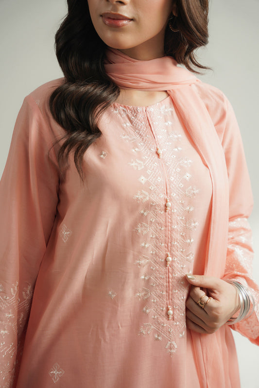 3 Piece Lawn Embroidered Suit (CS0568)