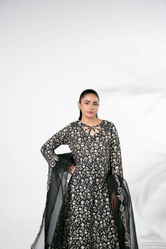 2 Piece Printed Lawn Embroidered (CP0227)