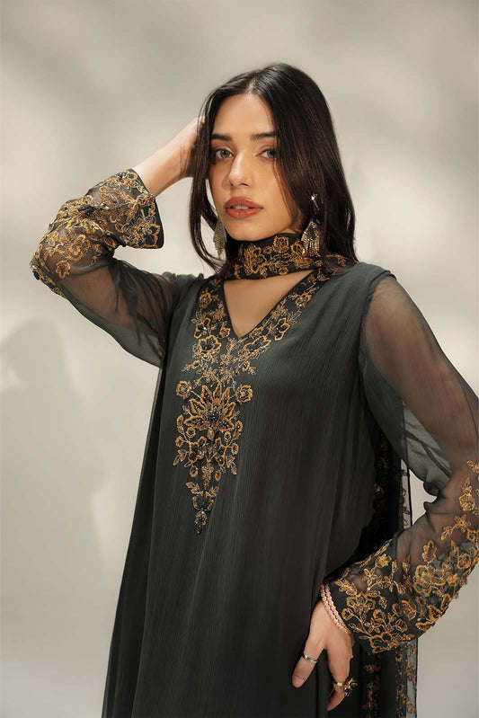 3 Piece Chiffon Embroidered Suit (FL0239)