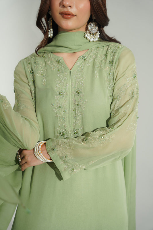 3 Piece Chiffon Embroidered Suit (FS0179)