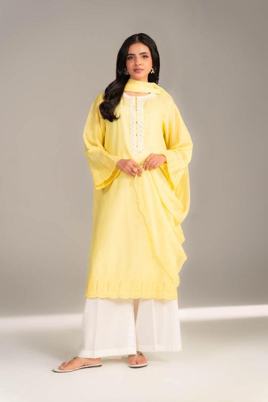 2 Piece Lawn Embroidered Suit (CS0457)