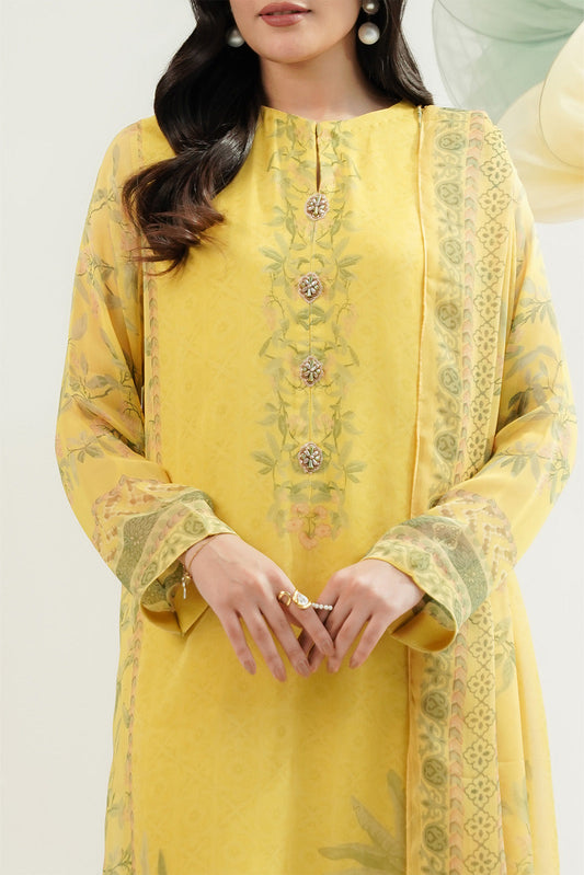 2 Piece Chiffon Printed Suit (FS0153)