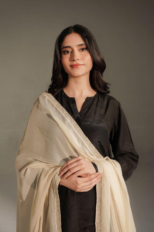 1 Piece Chiffon Embroidered Dupatta (FD0141)