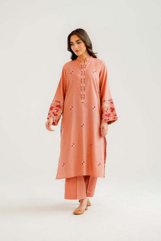 2 Piece Cotton Karandi Embroidered Suit (CP0300)