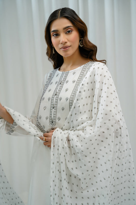 3 Piece Lawn Embroidered Suit (CS0239)