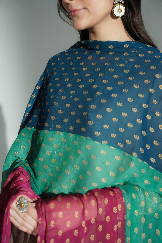 1 Piece Chiffon Embroidered Dupatta (FD0103)