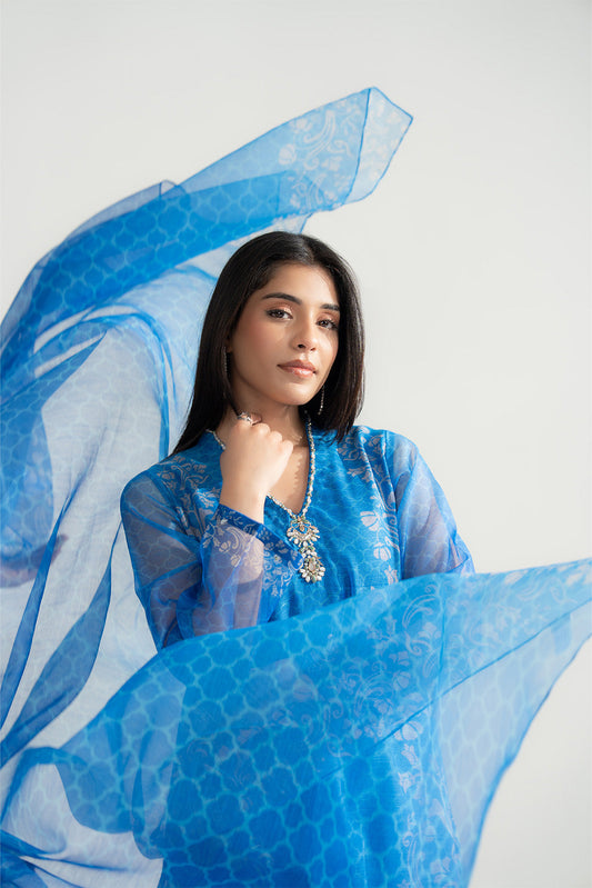 3 Piece Rajo Net Printed Embroidered Suit (FS0152)