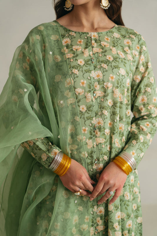 3 Piece Lawn Printed Unstitched Suit (UC0064)