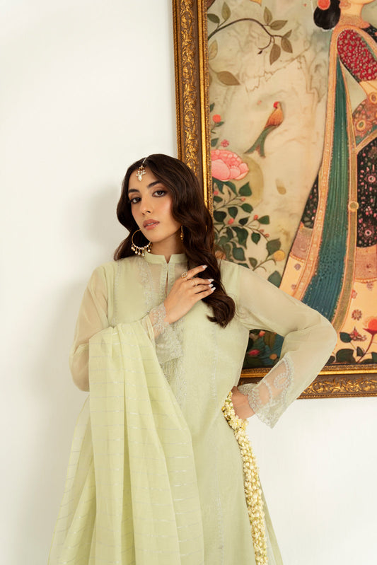 3 Piece Masoori Net Embroidered Suit (CS0238)