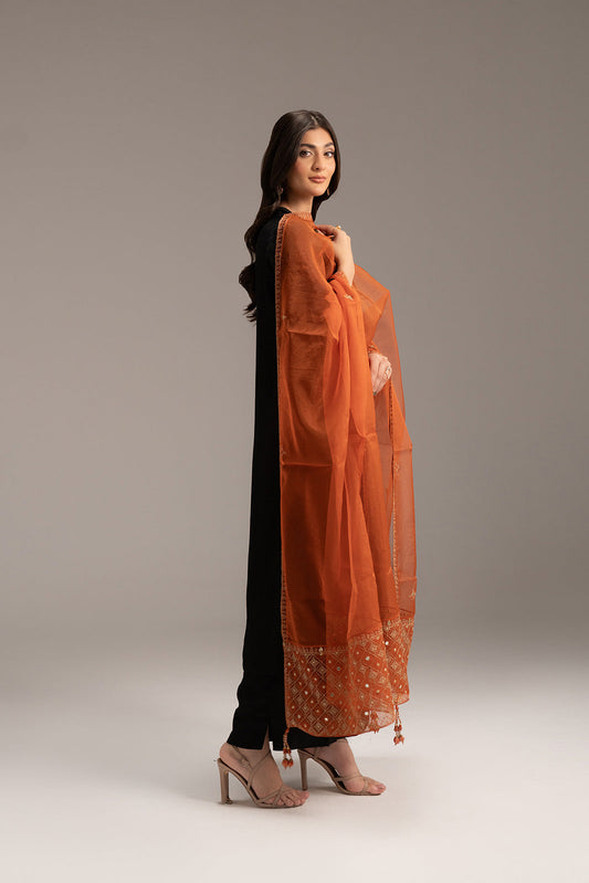 1 Piece Organza Embroidered (FD0052)