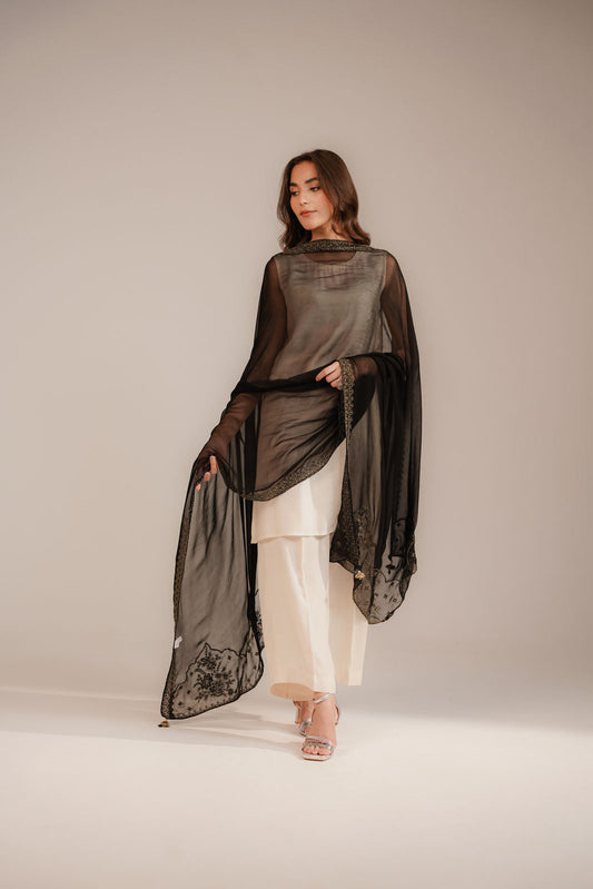 1 Piece Chiffon Embroidered Dupattas/Stoles (FD0065)