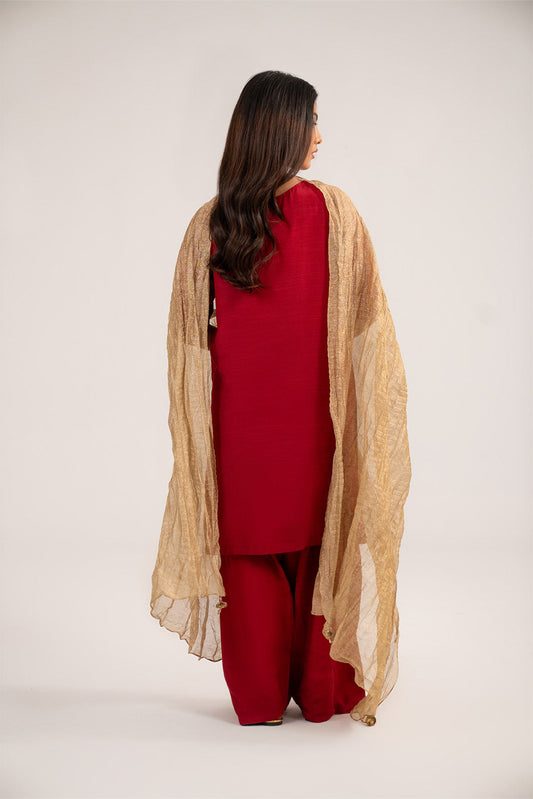 1 Piece Tissue Zari Solid Dupattas/Stoles (FD0083)