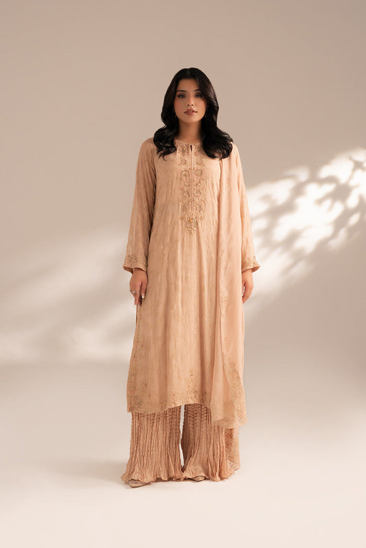 3 Piece Chiffon Embroidered Suit (FL0067)