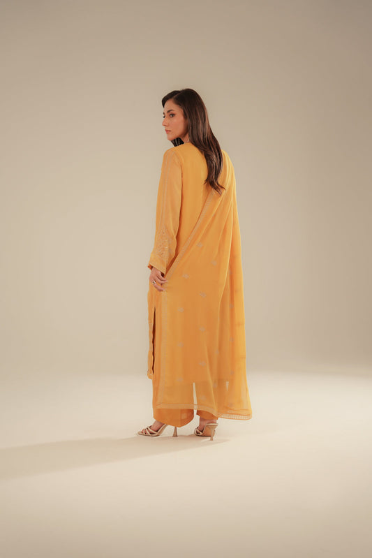 3 Piece Chiffon Embroidered Suit (FL0091)