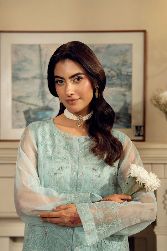 2 Piece Organza Embroidered Suit (FL0138)