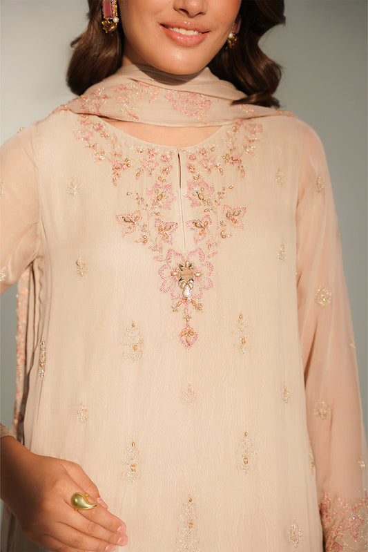 3 Piece Chiffon Embroidered Suit (FL0153)