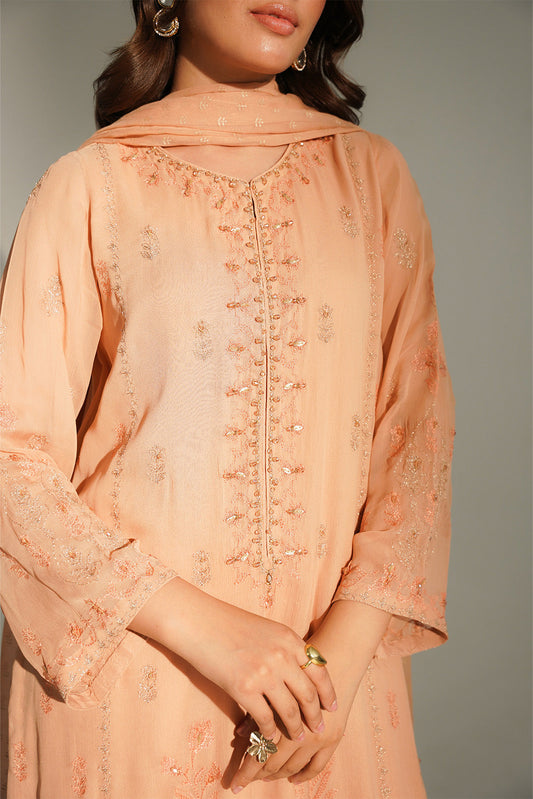 3 Piece Chiffon Embroidered Suit (FL0161)