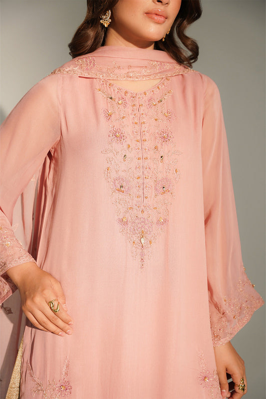 2 Piece Chiffon Embroidered Suit (FL0164)