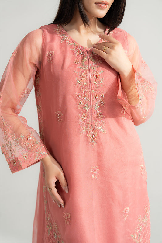 2 Piece Organza Embroidered Suit (FL0167)