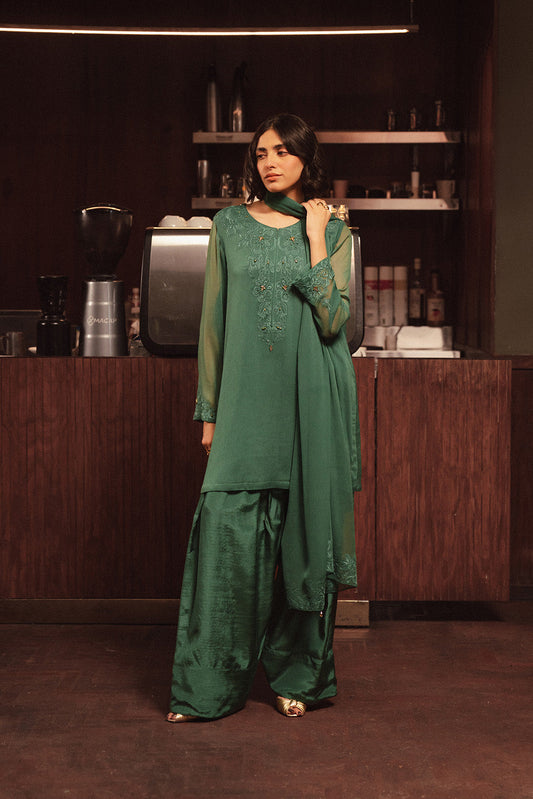 3 Piece Chiffon Embroidered Suit (FS0115)
