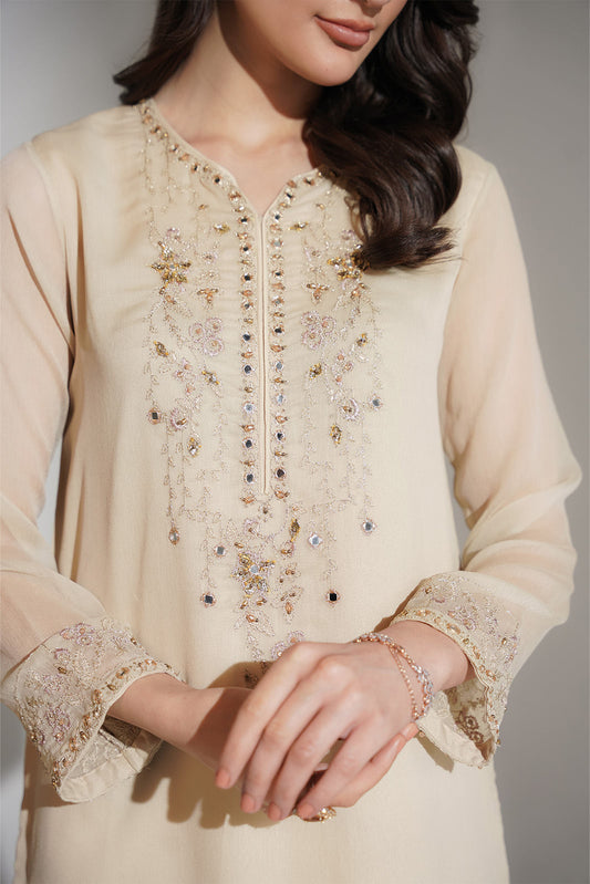 1 Piece Chiffon Embroidered Shirt (FS0131)