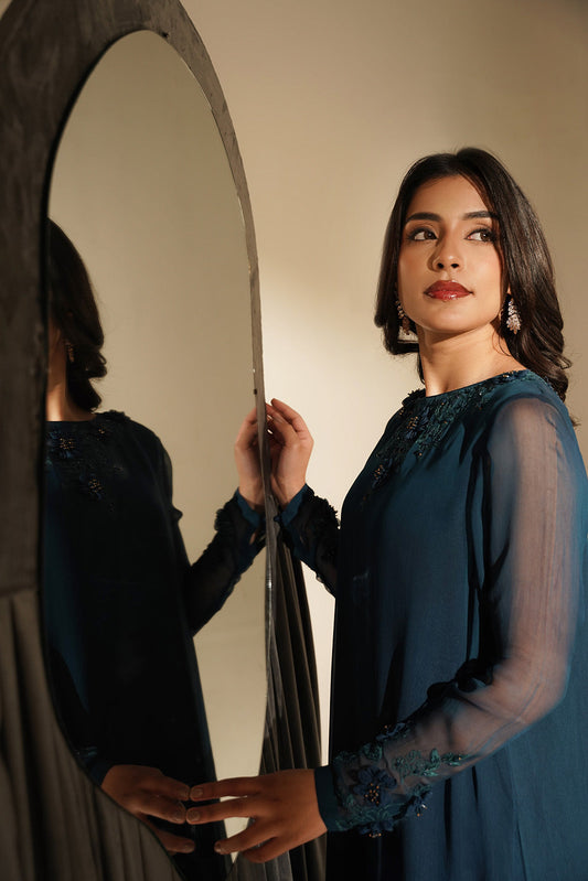 1 Piece Chiffon Embroidered Shirt (FS0132)