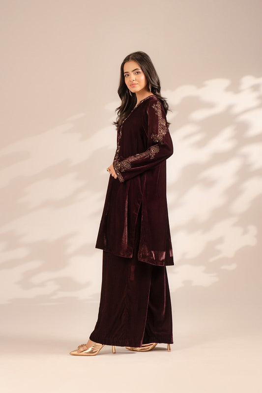 2 Piece Velvet Embroidered Suit (FV0006)