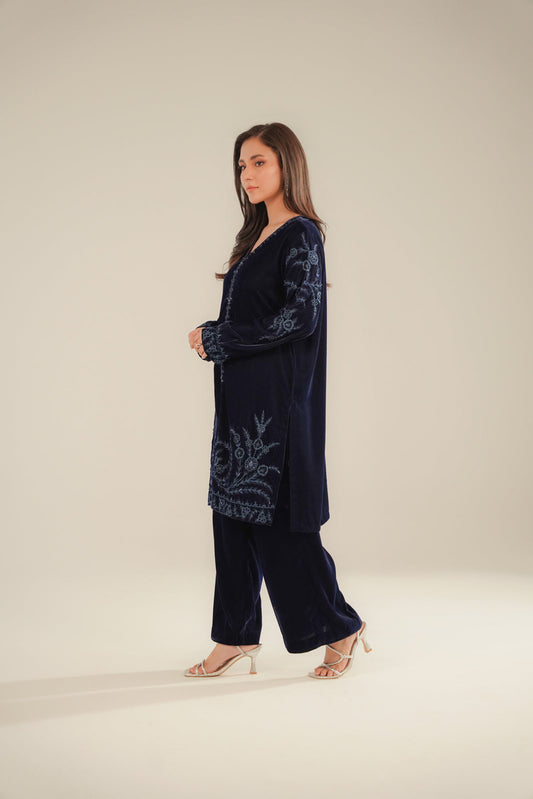 2 Piece Velvet Embroidered Suit (FV0009)