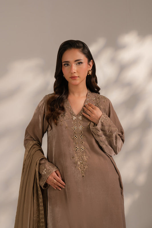 3 Piece Velvet Embroidered (FV0016)