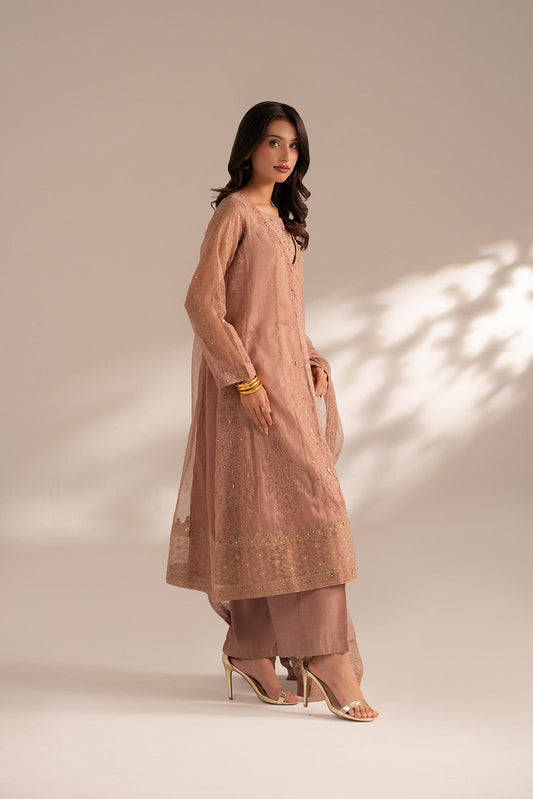 3 Piece Emboss Net Embroidered (FW0015)
