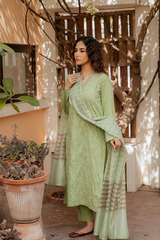 3 Piece Lawn Embroidered Suit (CS0038)