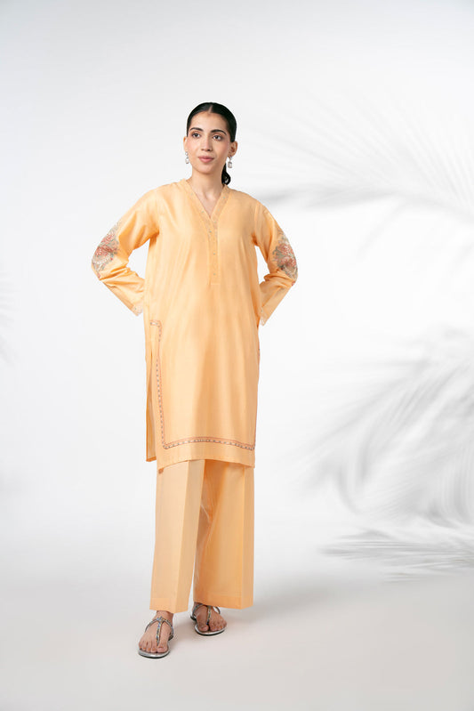 2 Piece Lawn Embroidered Suit (CP0051)